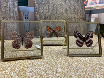 Butterfly Framed with Easel