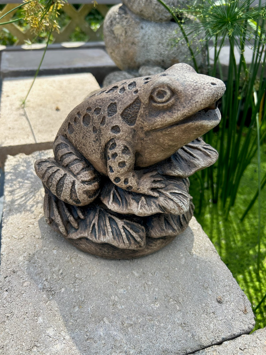 Fountain-Frog On Leaves (Plumbed)