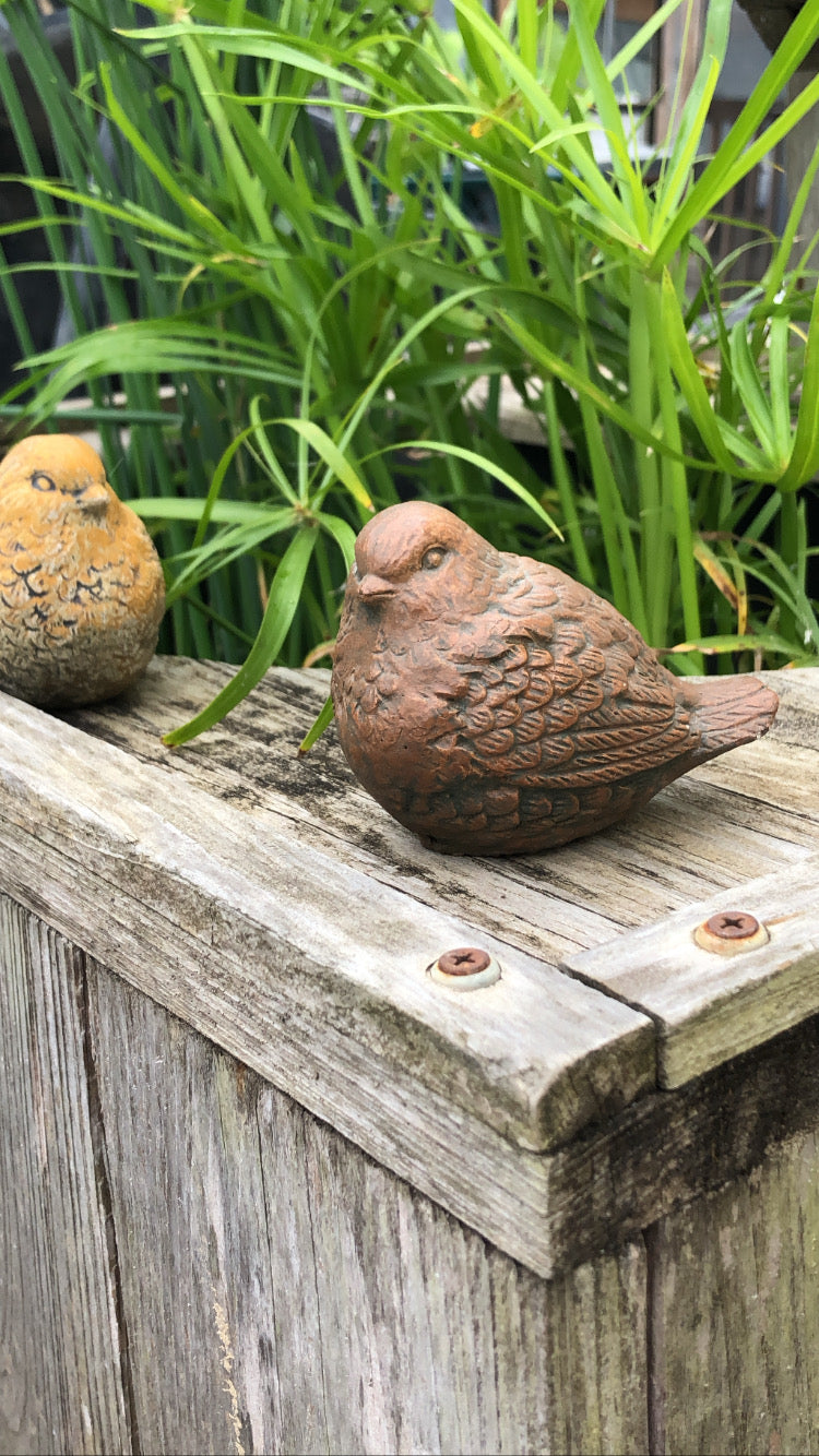 Garden Bird Stone 3