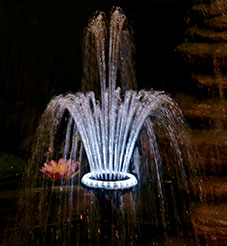 Fountain Kit-18 LED Light Ring & Fountainhead