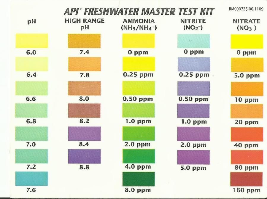 API Master Test Kit